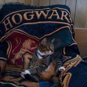 Meet your Posher, Mike